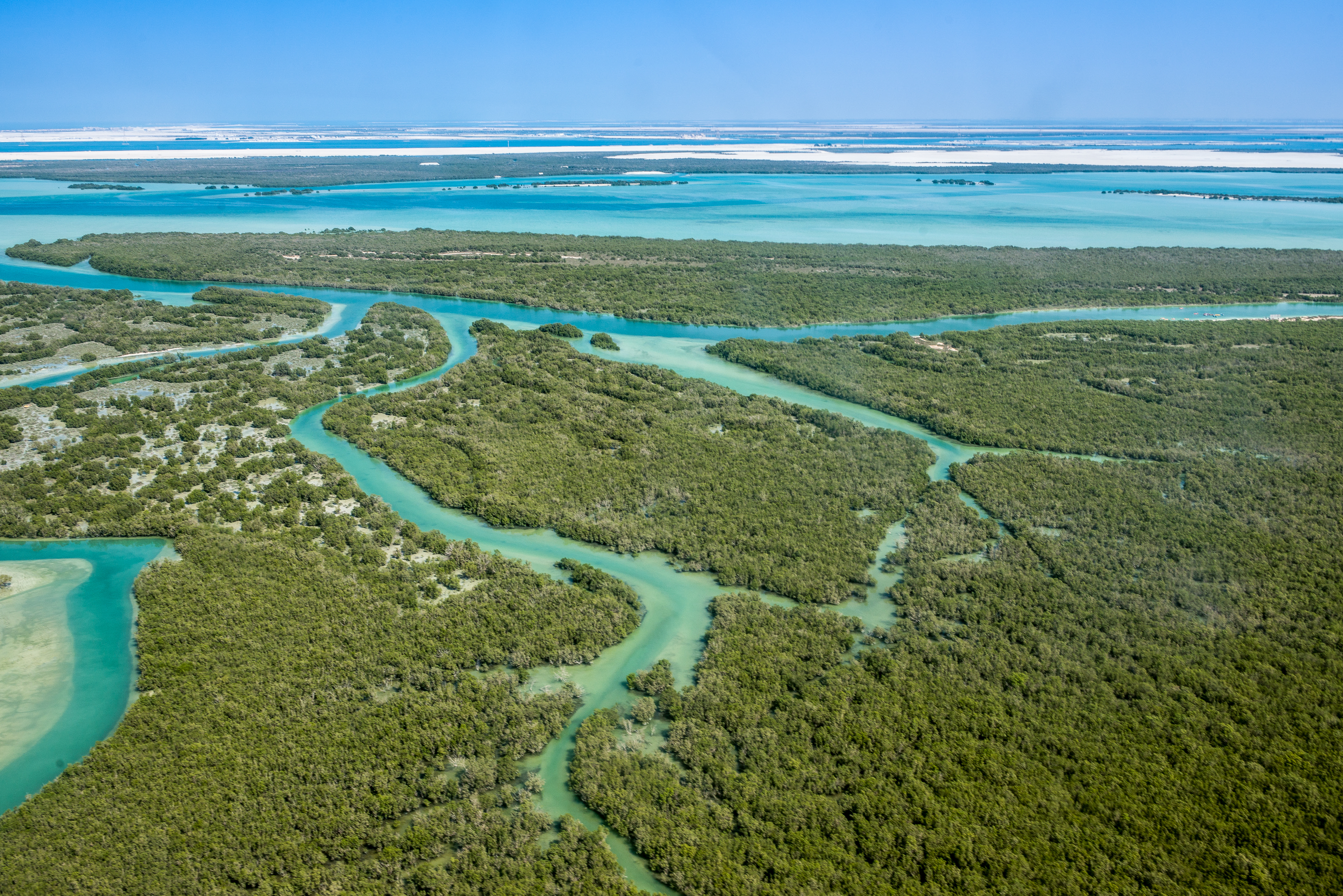 Principles for Sustainability-Related Disclosures
